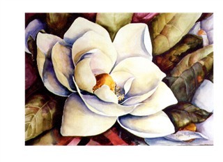 magnolia