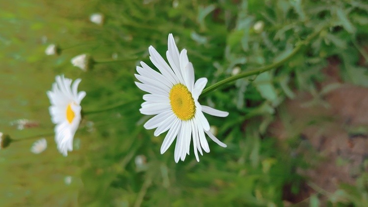 20230622 190848 HDR