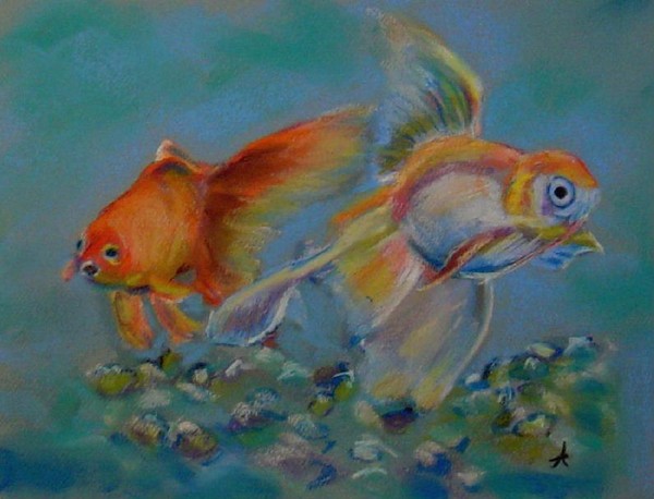 Goldfish