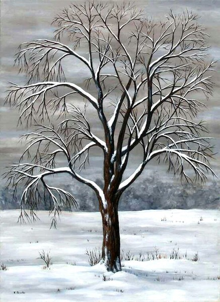 Winter Storm
