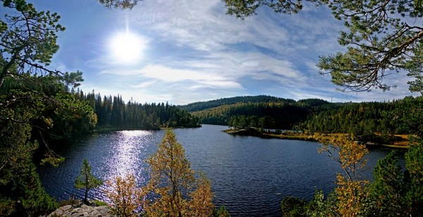 Fall in Bymarka