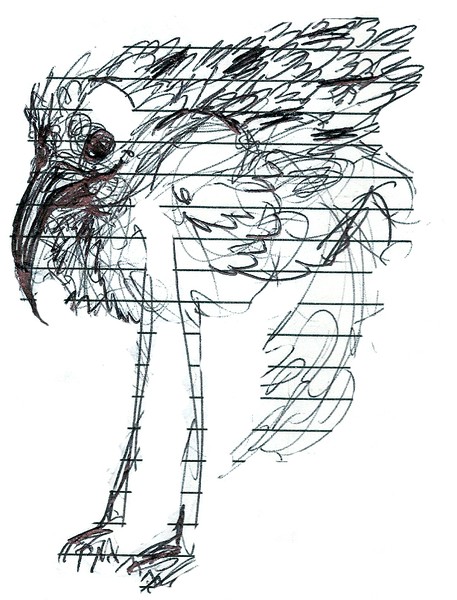 Bird Sketch
