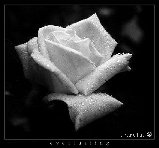 everlasting