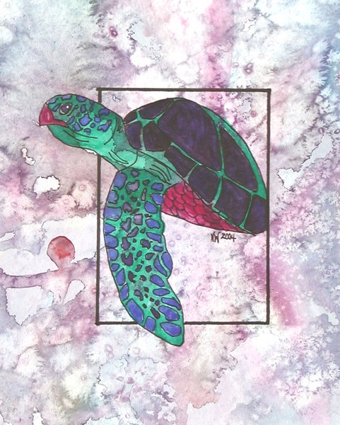 Tango The Turtle
