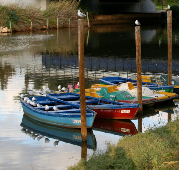 Boats on the Yarkon