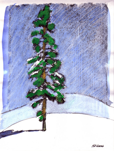 the Mountain firtree
