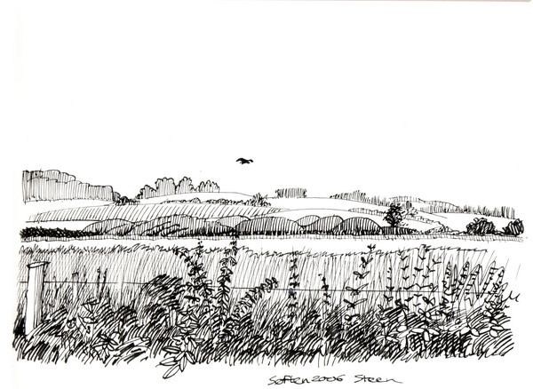 the other sneak away ink of Heron meadow