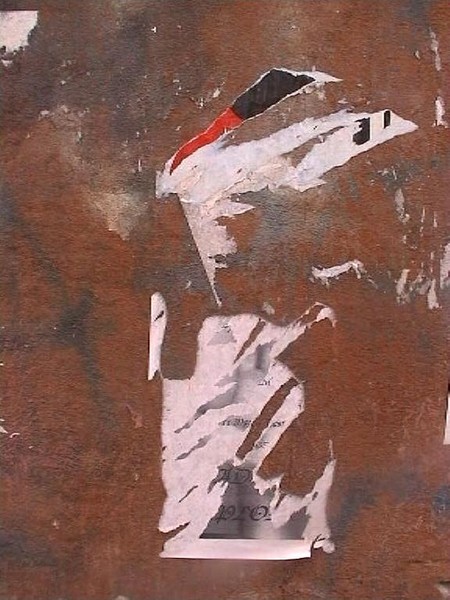 untitled (feather)