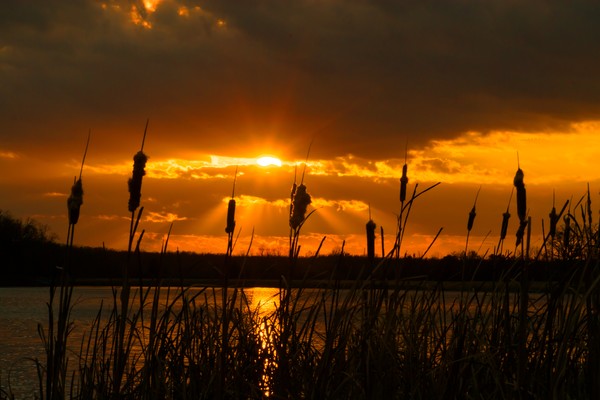 12.3.12 Sunset