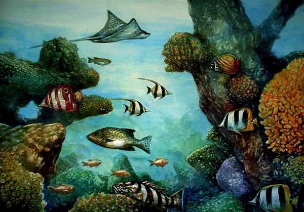malaysian coral fish