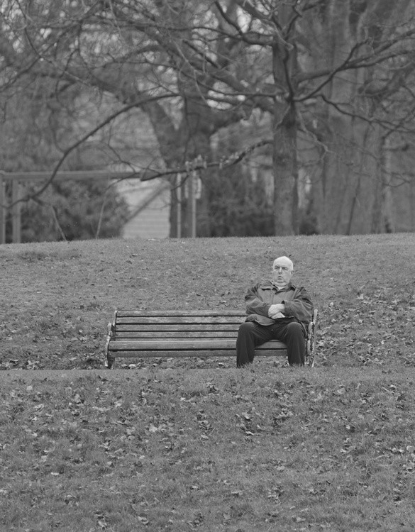 Bench On The Folds