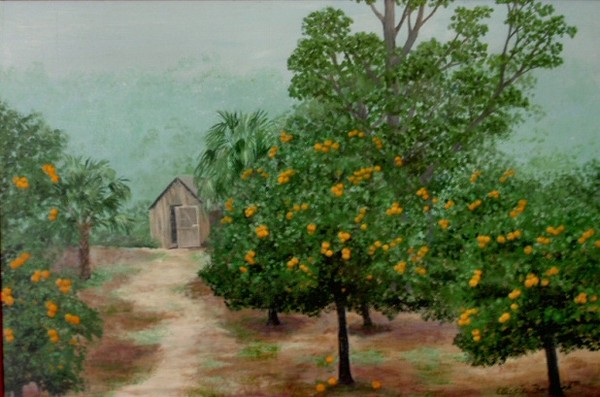 Florida Orange Grove