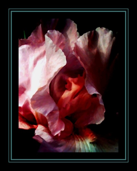 Fem-Iris