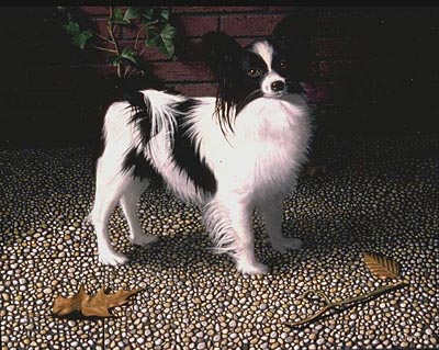Papillon