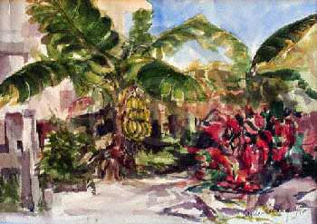 Banana Tree, Great Abaco