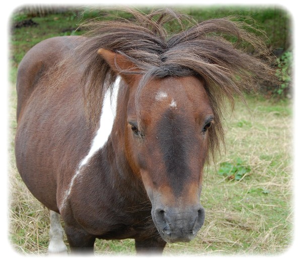 Bad Hair Day ?