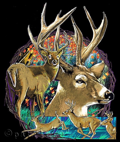 WhiteTailMandela