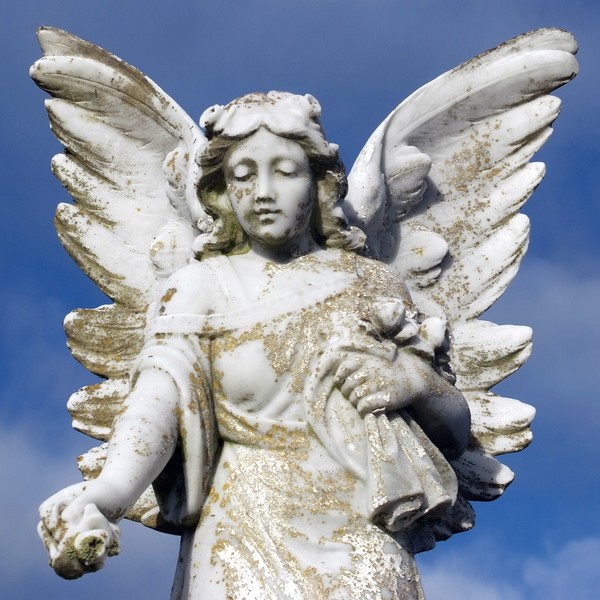 Angel in Waiting