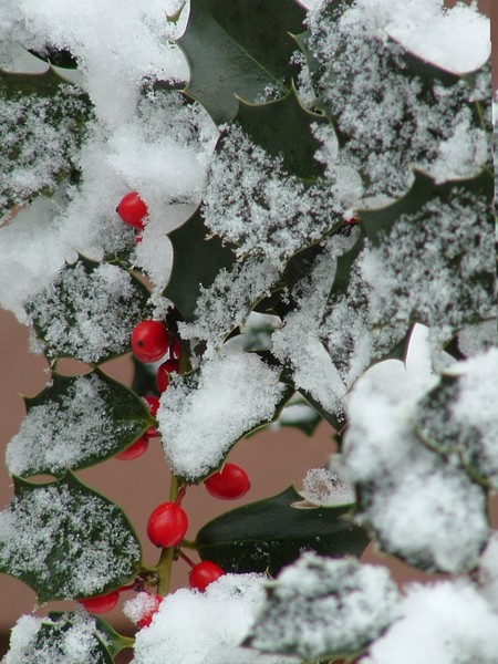 winter