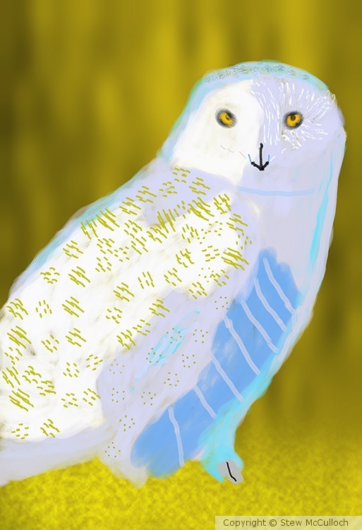  White Owl  P222