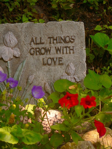 flowers and a sign
