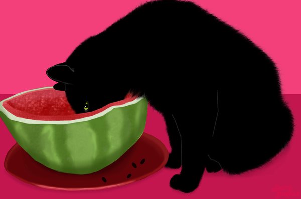 The Summer Treat