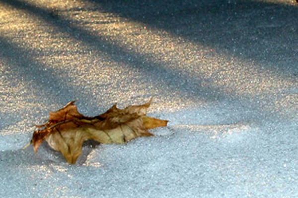 frozen in time