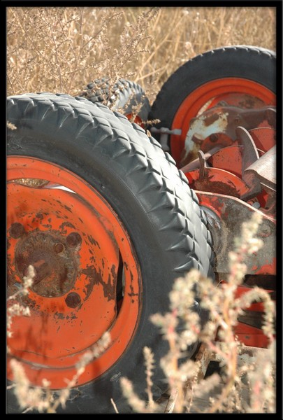 Orange and Rust Wheelies