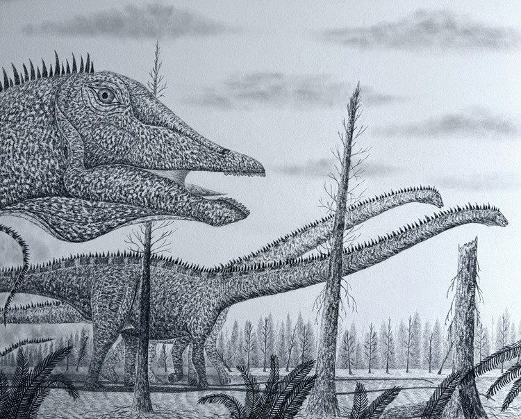 A Barosaurus Herd Migration in the Late Jurassic