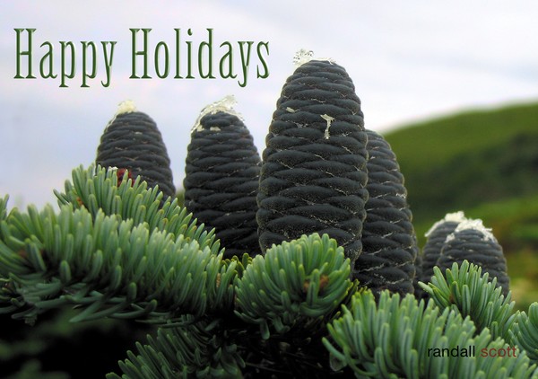 HAPPY HOLIDAYS