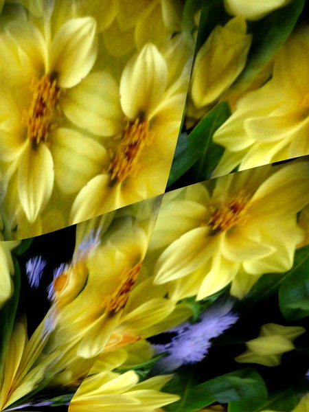Yellow and Purple Floral Abstract (Fifty One)