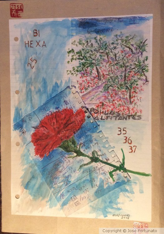 Bi Hexa