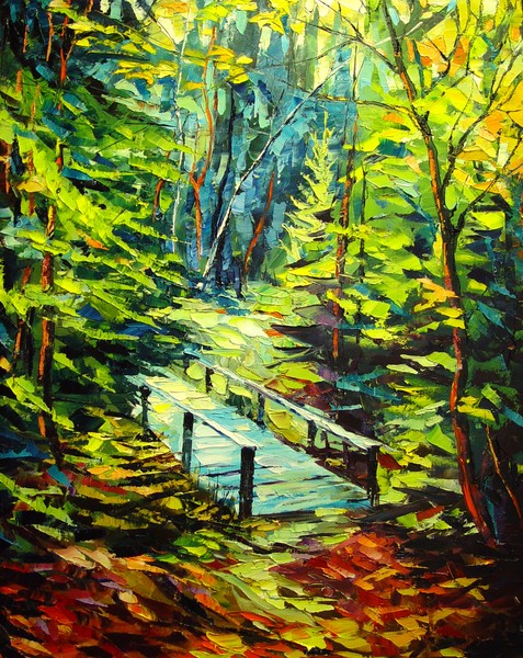 Forest trail