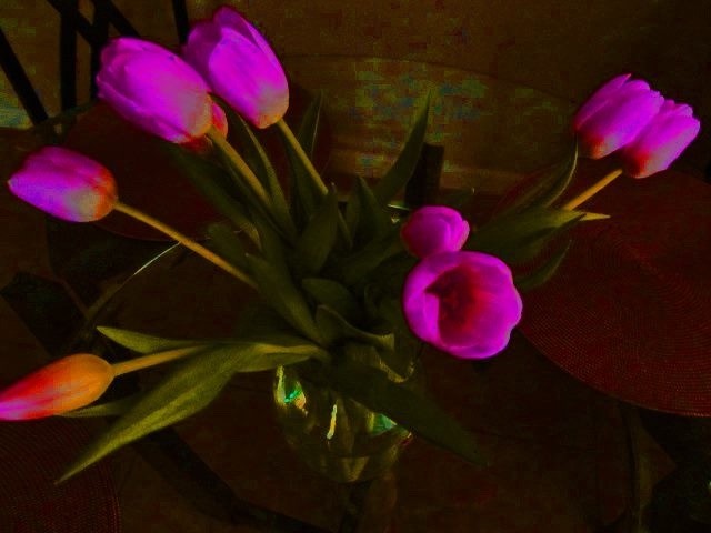 Valentine's Posies from an Admirer