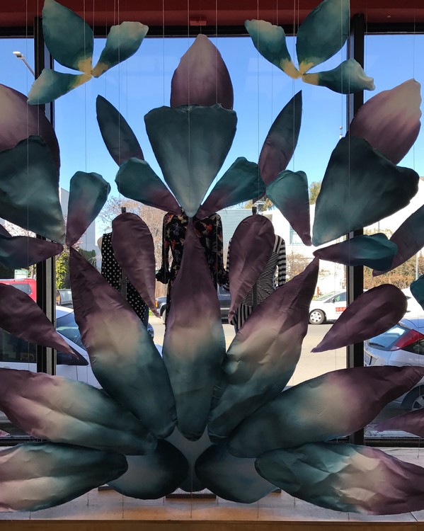 Store Window Display