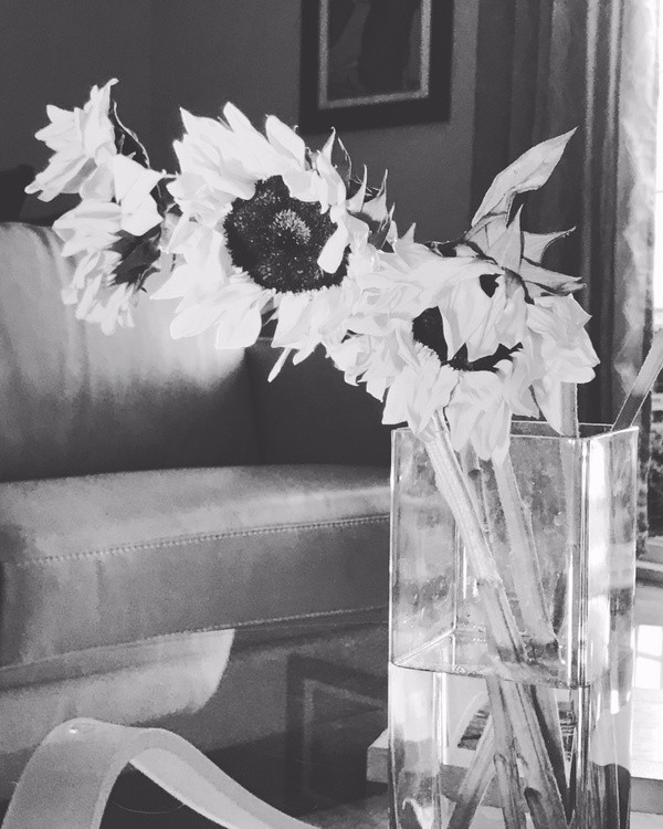 b&w sunflowers
