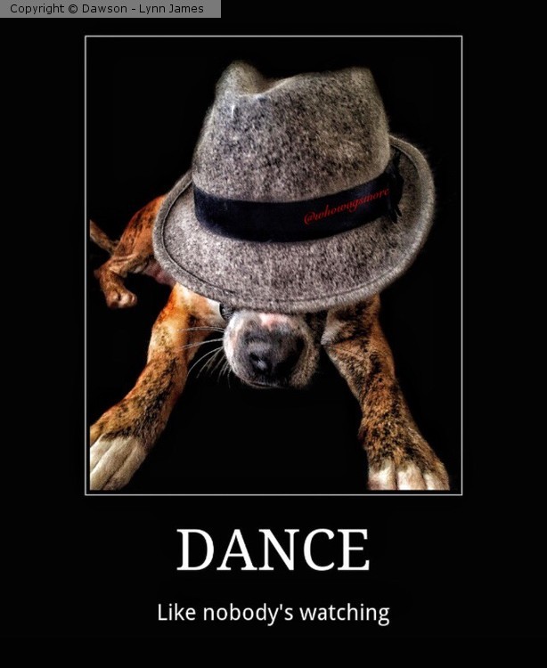 Dance like nobody's watching