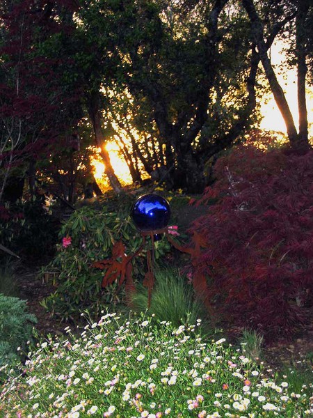Blue Night