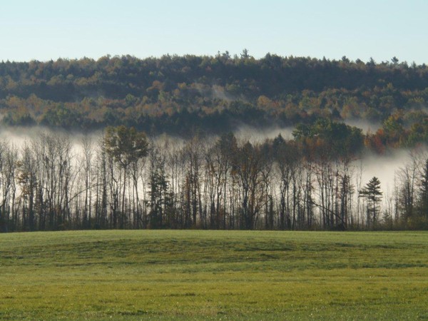 Morning in Maine 