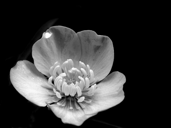 Light_and_shadow_5