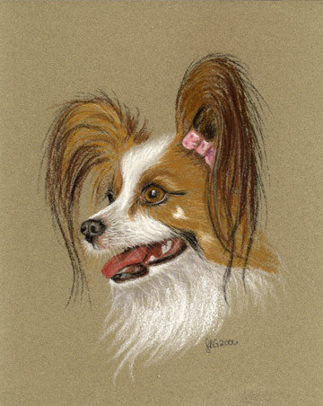 Papillon