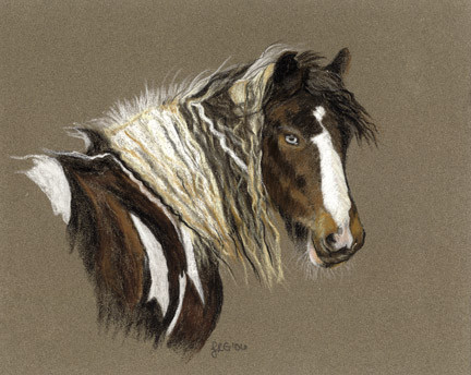 Beautiful Gypsy Gemma