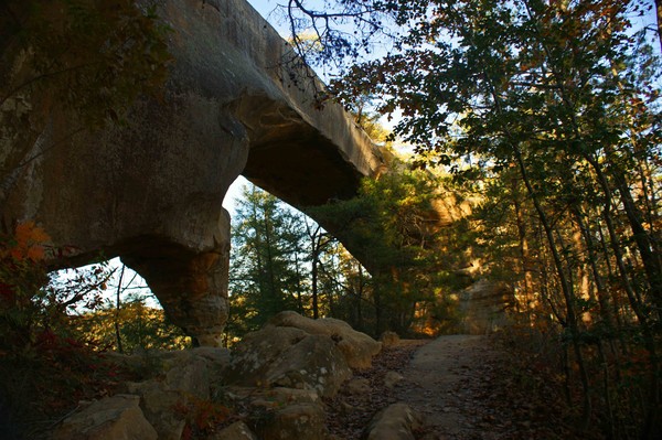 Sky Bridge