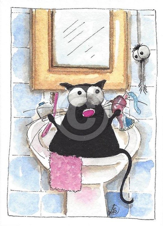The Morning Brushing
