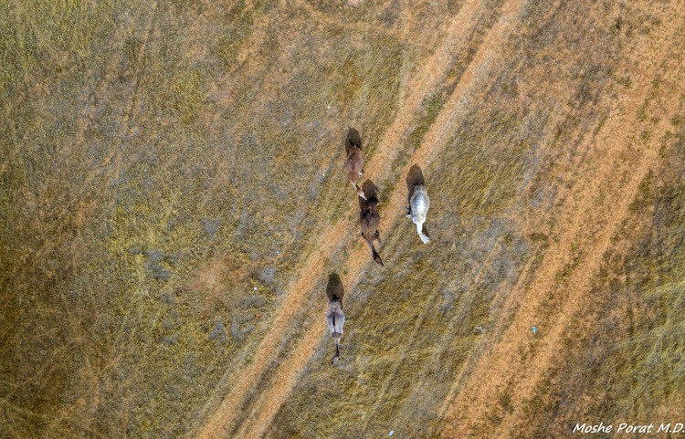 DRONE VIEW