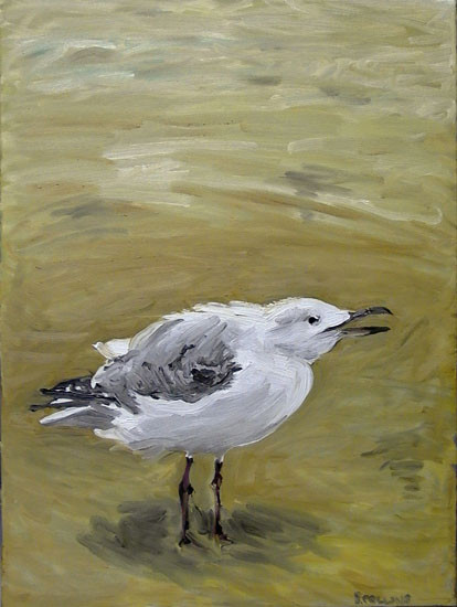 Seagull