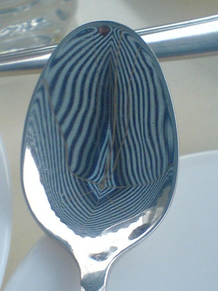 Zebraspoon