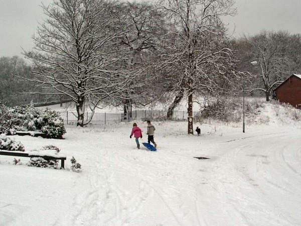 LETS GO SLEDGING