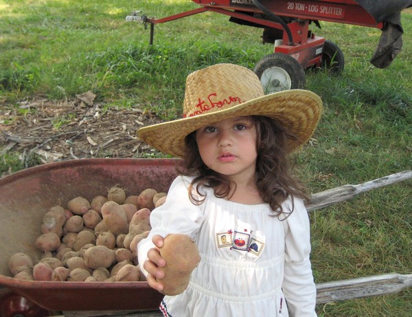 Working at Grandpa's Vegetable Stand