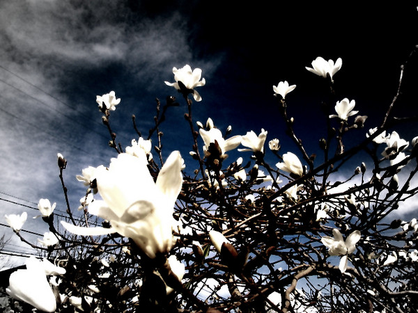 Looking towards the sky